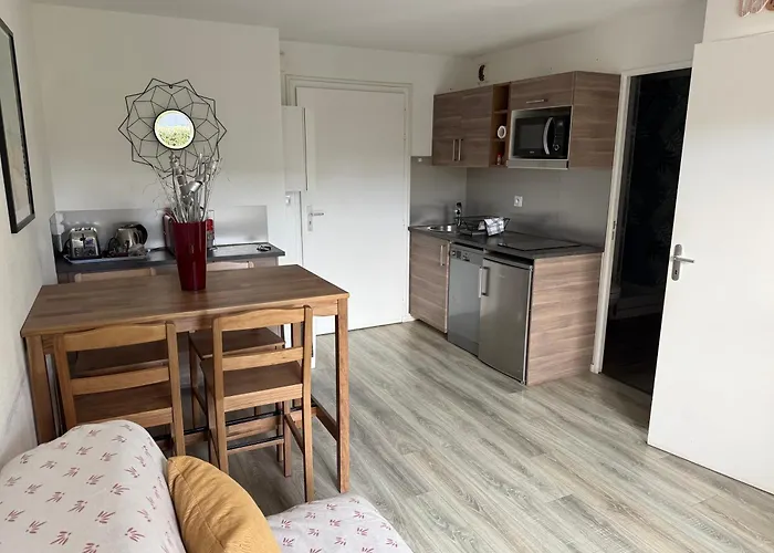 2 Pieces Jardin, Acces Direct Et Proche Thalasso Apartament